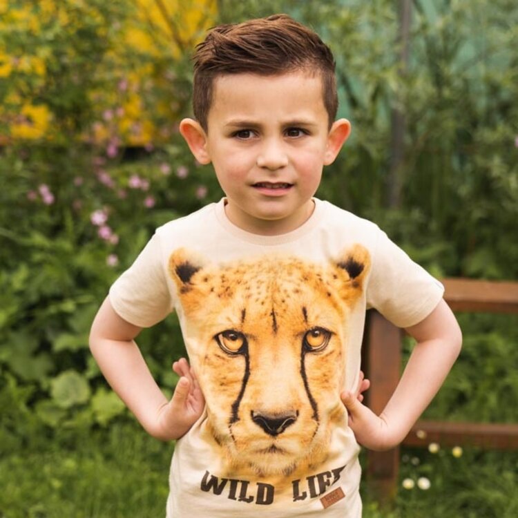 Kokooko boys' T-shirt off white panther | R50874-37