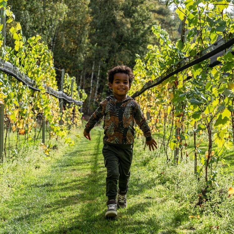 Koko Noko boys sweatpants dark green cargo | Q52812-37