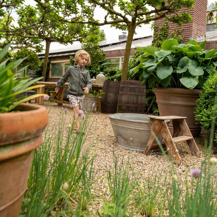 Koko Noko boys cardigan army green hoodie | P54838-37