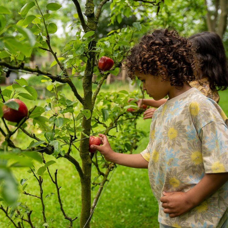 Koko Noko Jungen-T-Shirt lose Passform beige Blume limonenblau | P54853-37