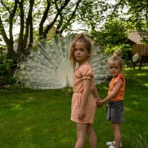 Lammetjesdagen Koko Noko