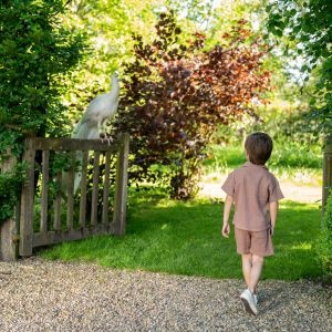 Lammetjesdagen activiteit