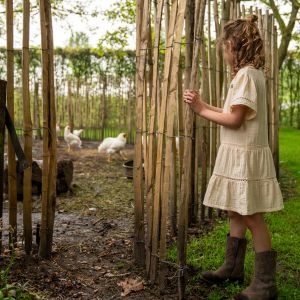 Voorjaarsactiviteit Koko Noko