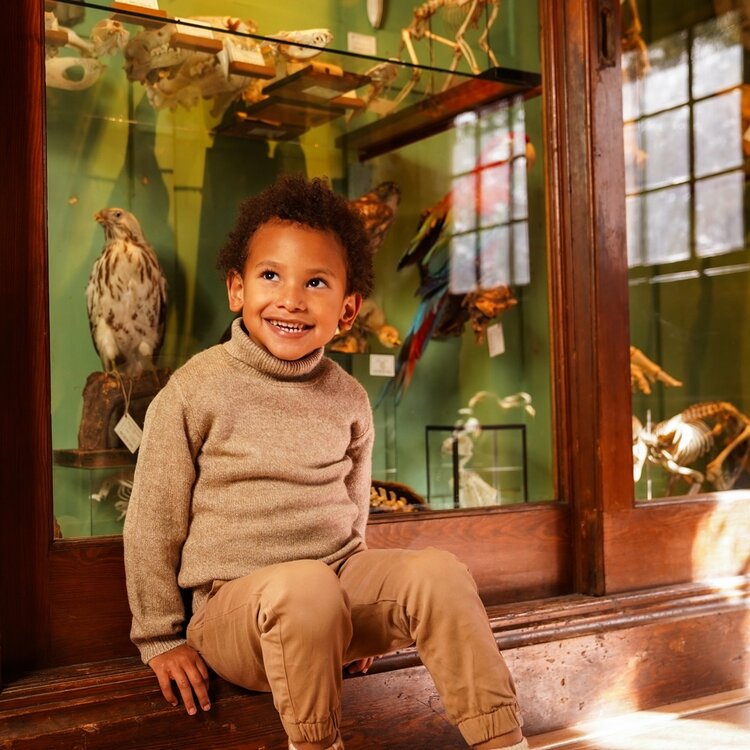 Koko Noko boys‘ turtleneck jumper in light brown knit | O56800-37