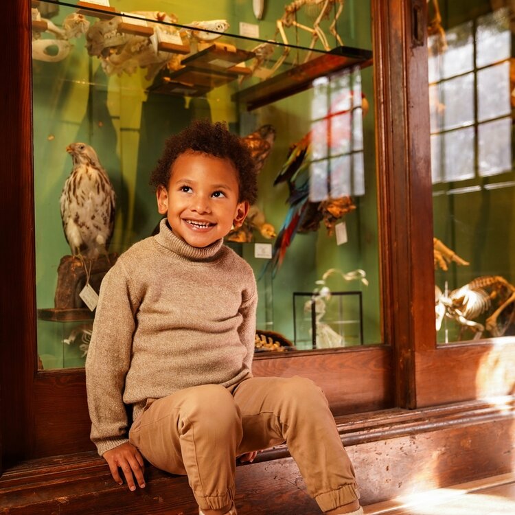 Koko Noko Jungen Hose loose fit hellbraun | O56801-37