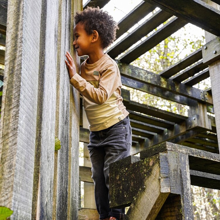 Koko Noko boys’ long-sleeved shirt light brown soft green off-white | O56807-37