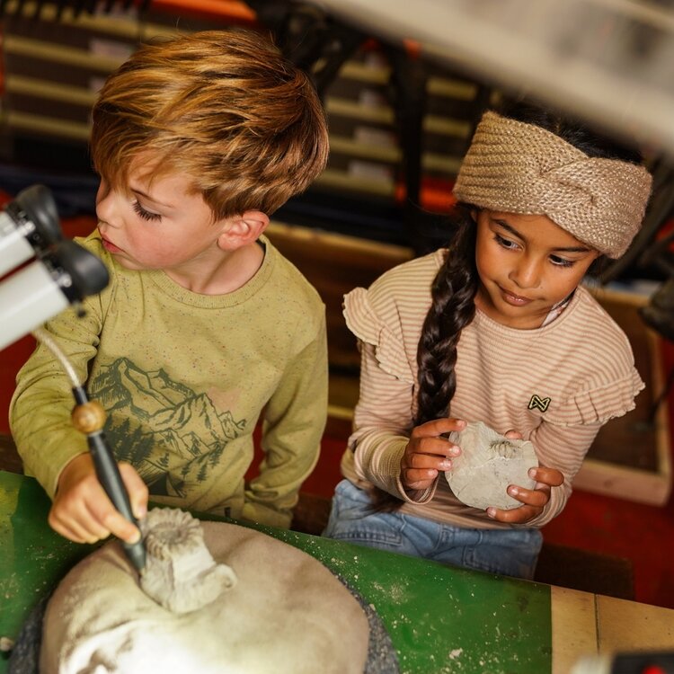 Koko Noko Jungen Longsleeve Zartgrün Berge | O56815-37