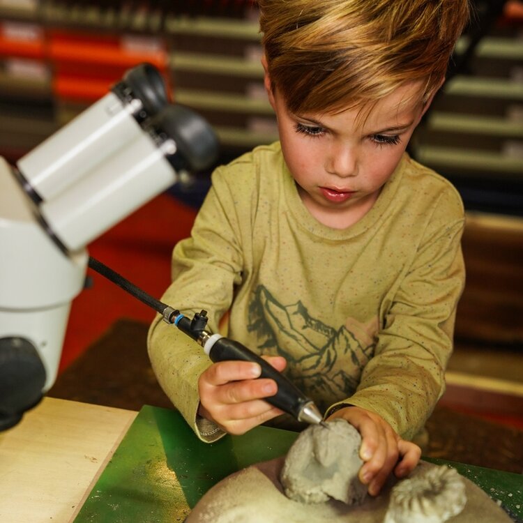 Koko Noko boys’ long-sleeved shirt soft green mountains | O56815-37