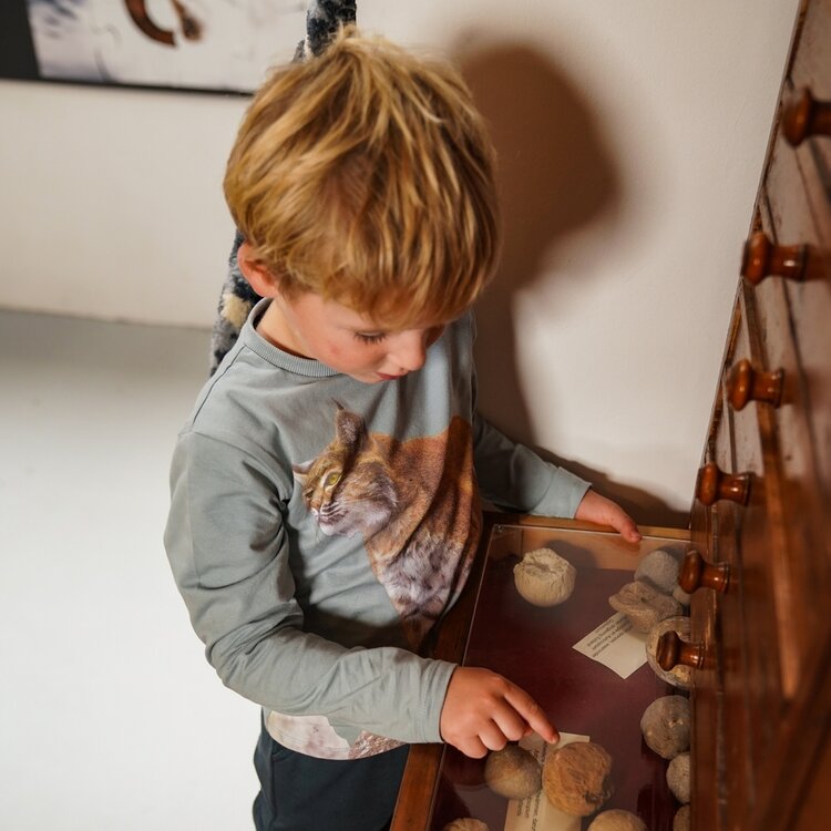 Koko Noko jongens longsleeve lichtgroen fotoprint lynx | O56826-37