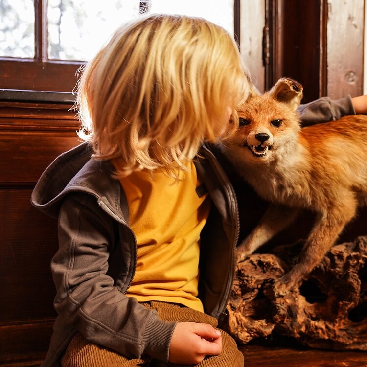 Koko Noko boys‘ corduroy trousers loose fit mustard yellow | O56859-37