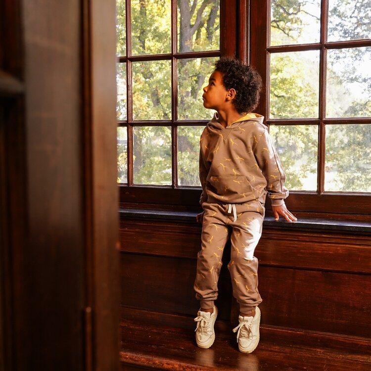 Koko Noko Jungen Set Hoodie Jogginghose taupe | O56860-37