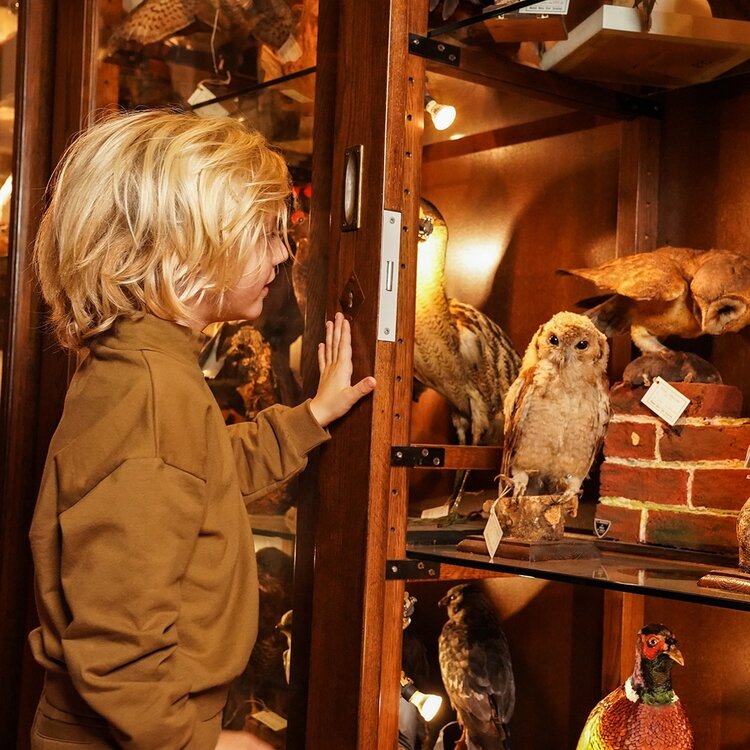 Koko Noko boys‘ turtleneck jumper mustard yellow dropped shoulder | O56866-37