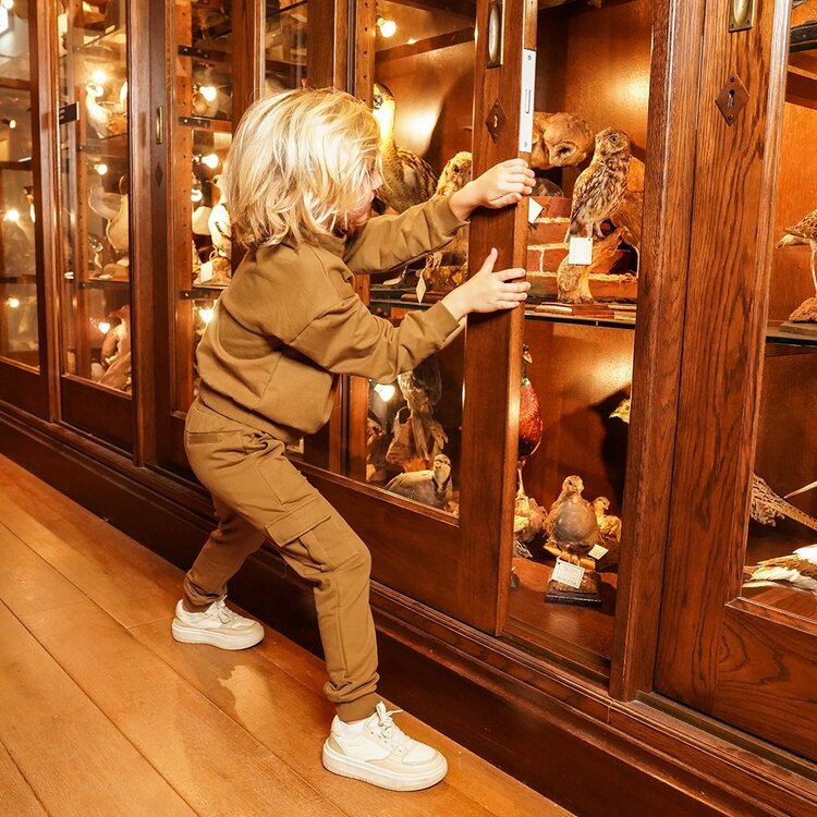 Koko Noko jongens cargo joggingbroek mosterdgeel | O56868-37