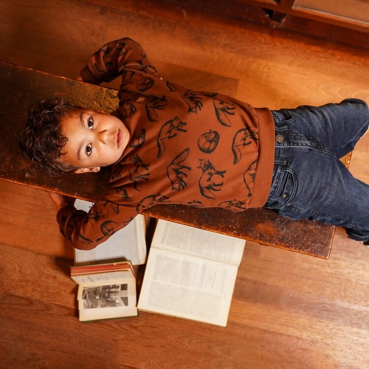 Koko Noko boys’ sweater brown fox dropped shoulder | O56879-37