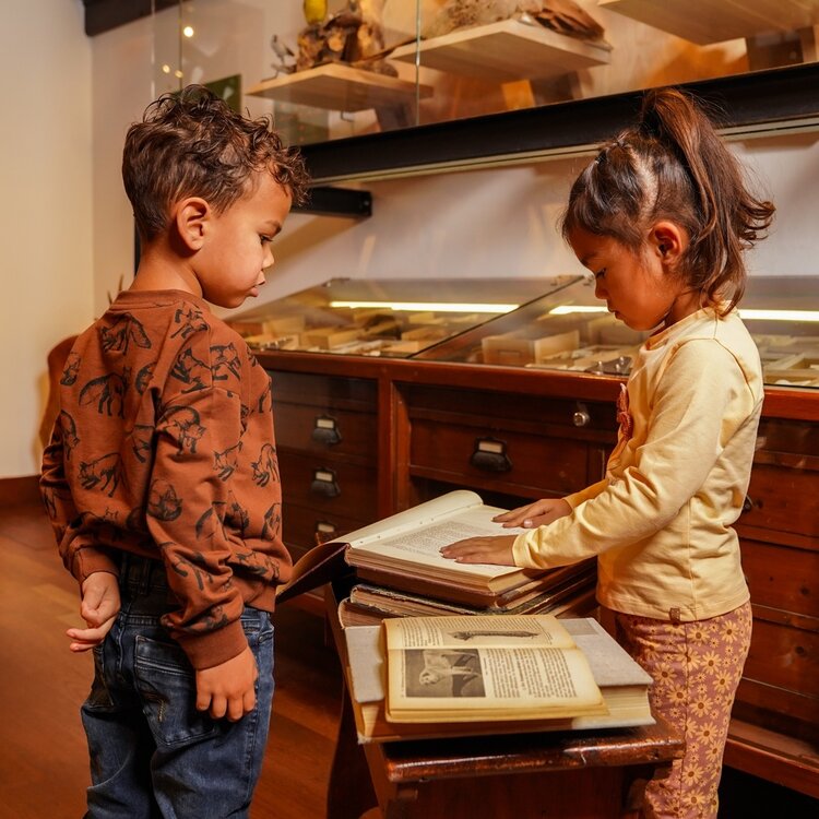 Koko Noko jongens sweater bruin vos dropped shoulder | O56879-37