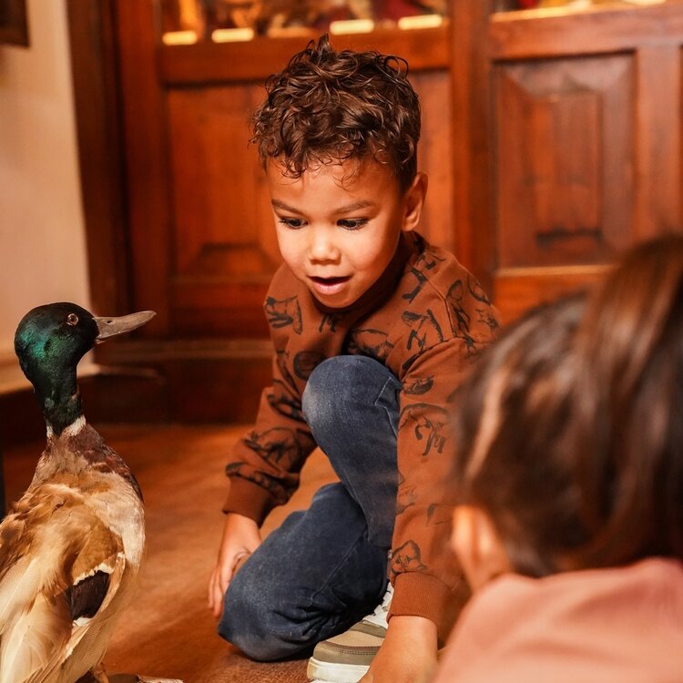 Koko Noko jongens sweater bruin vos dropped shoulder | O56879-37