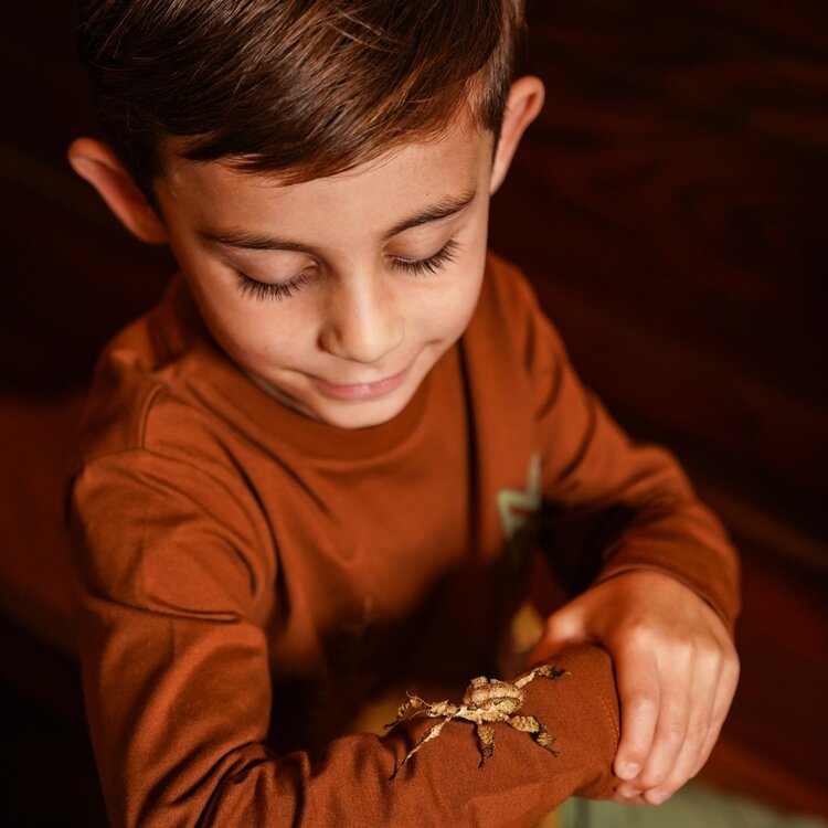 Koko Noko Jungen-Longsleeve dunkelbraun Wald | O56883-37