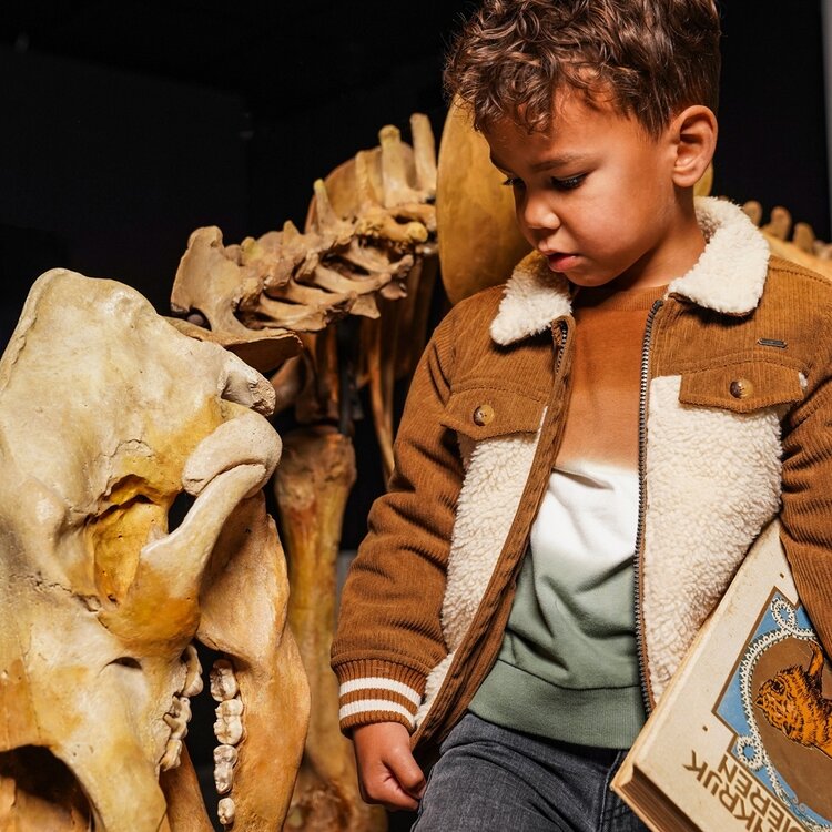 Koko Noko boys‘ corduroy jacket dark brown off-white teddy | O56898-37