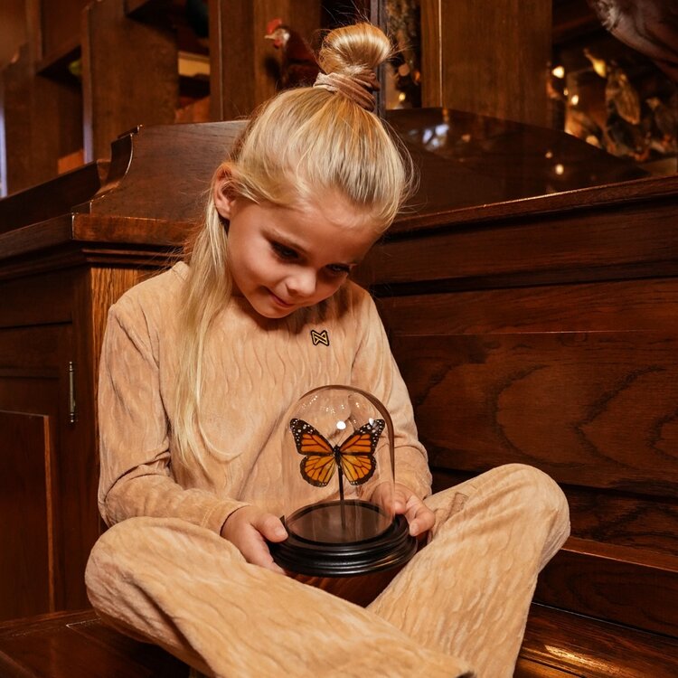 Koko Noko Mädchenhose, ausgestellt, karamellbraun, Velours | O56909-37