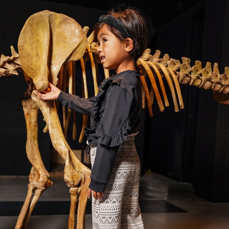 Koko Noko girls’ sweater black ruffles | O56934-37