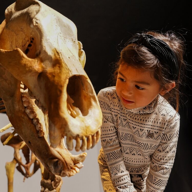 Koko Noko meisjes sweater met col off white etnische print | O56937-37