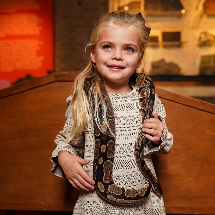 Koko Noko Mädchenkleid in Off-White mit Ethno-Print | O56943-37