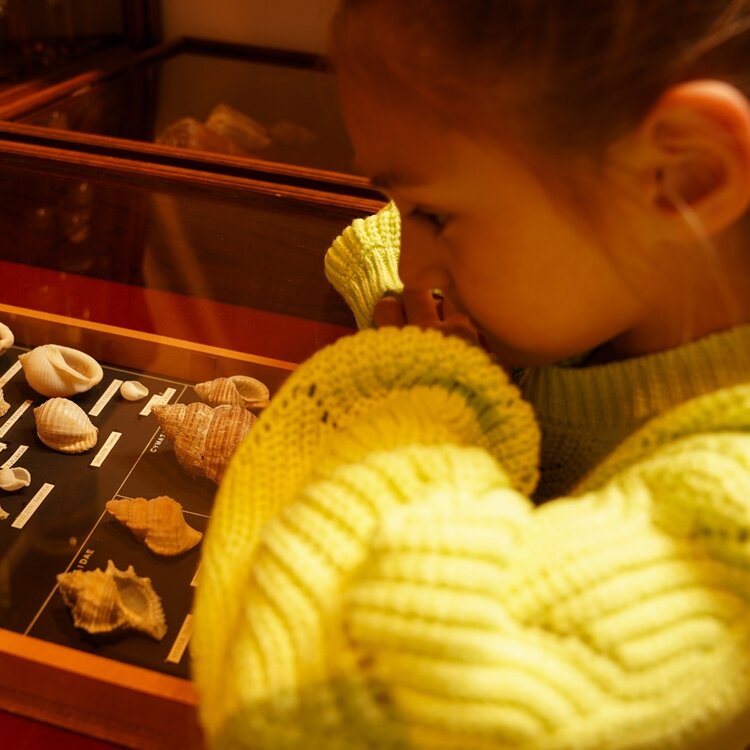 Koko Noko meisjes gebreide trui limegroen dropped shoulder | O56952-37