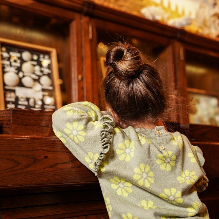 Koko Noko girls‘ sweater, soft green, dropped shoulder, flower | O56953-37