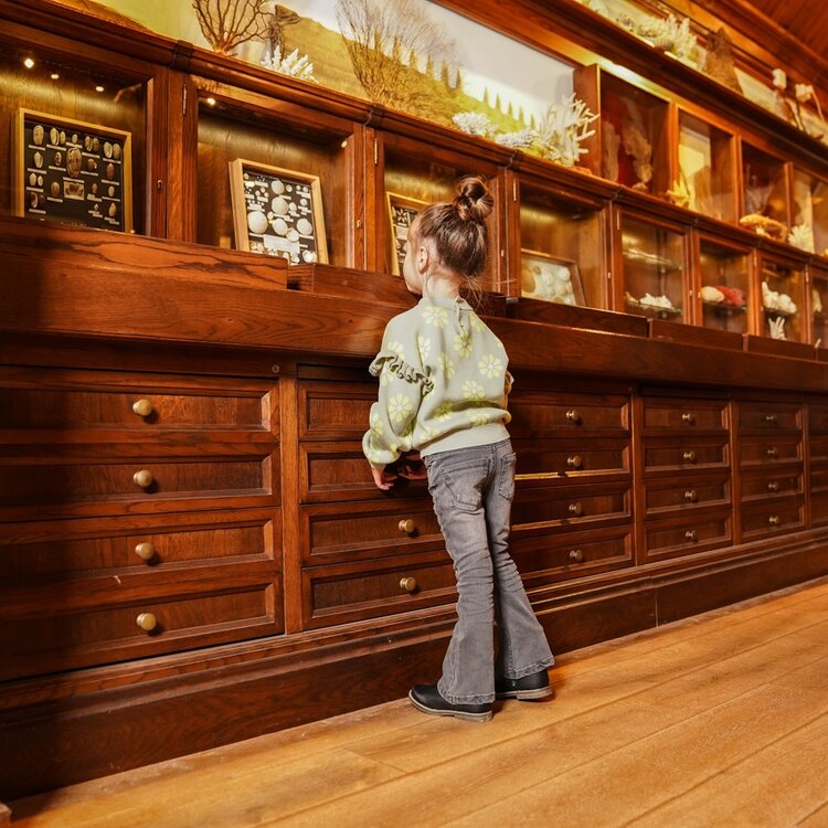 Koko Noko girls‘ sweater, soft green, dropped shoulder, flower | O56953-37