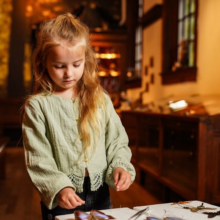 Koko Noko girls’ blouse soft green lace detail | O56961-37