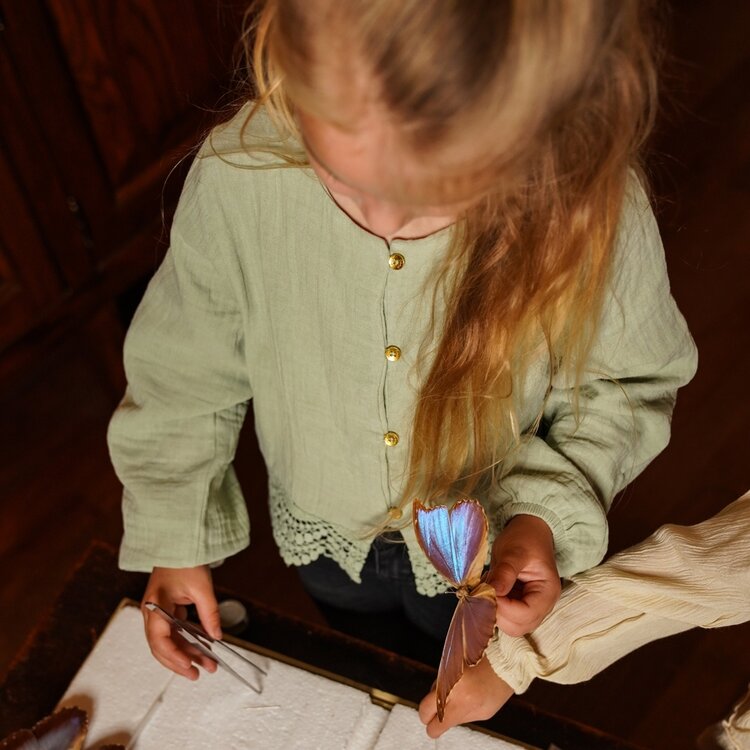 Koko Noko girls’ blouse soft green lace detail | O56961-37