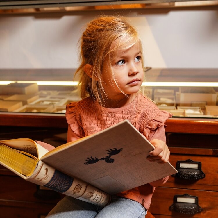 Koko Noko girls‘ wide leg jeans blue | O56981-37