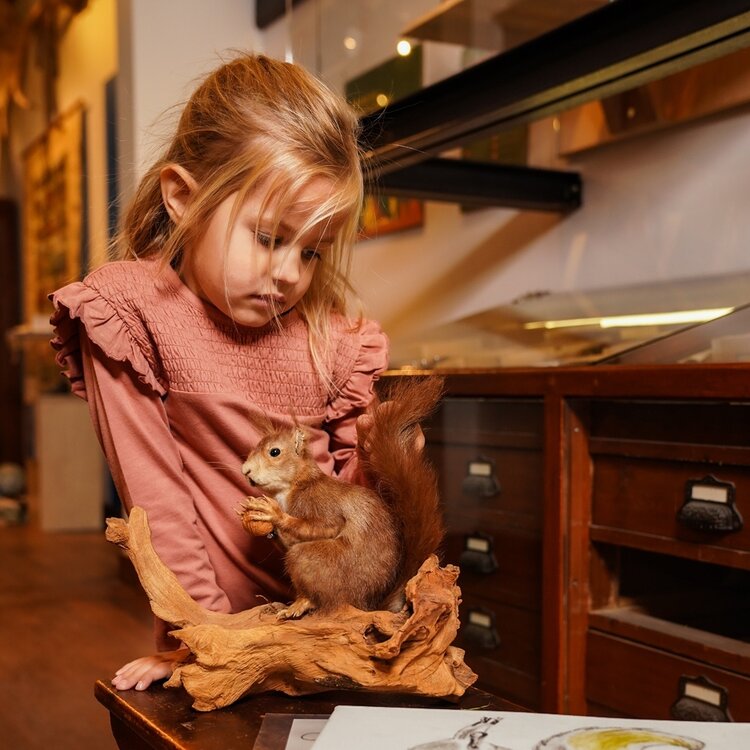 Koko Noko Mädchen-Langarmshirt, altrosa, Rüschen | O56987-37