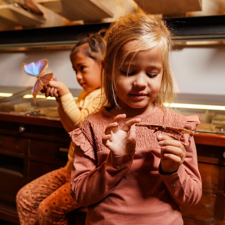 Koko Noko Mädchen-Langarmshirt, altrosa, Rüschen | O56987-37