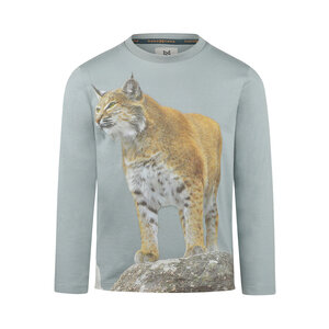 Koko Noko Jungen Longsleeve hellgrün Fotodruck Luchs