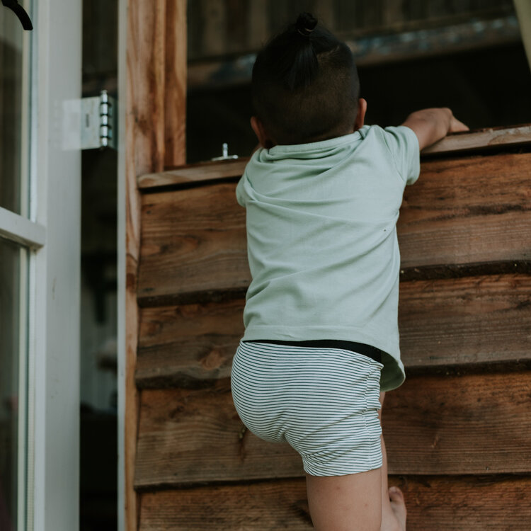 Koko Noko boys' T-shirt soft green organic cotton | WN1803