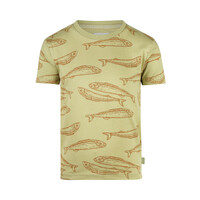 Koko Noko Jungen T-Shirt zartgrün Fische