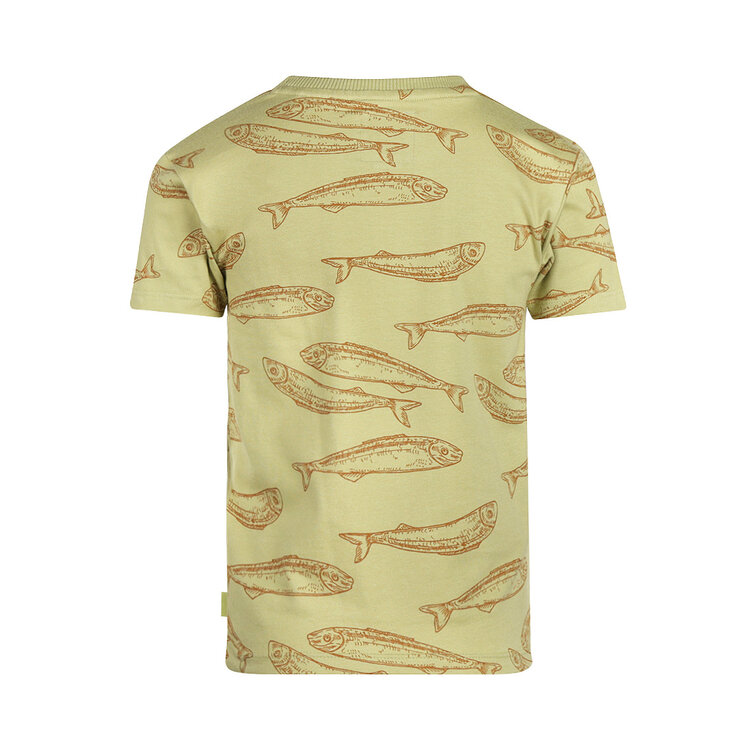 Koko Noko Jungen T-Shirt zartgrün Fische | N58808-37