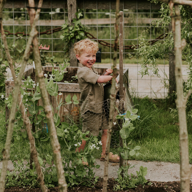 Koko Noko boys' co-ord set soft brown blouse shorts | N58826-37