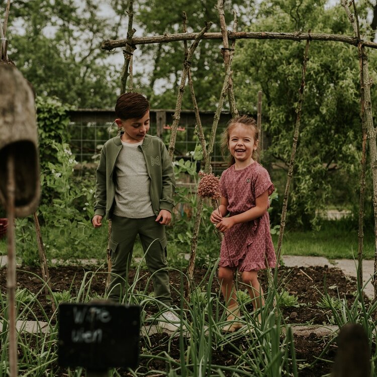 Koko Noko Jungen-T-Shirt olivgrün, cremefarben gestreift | N58830-37