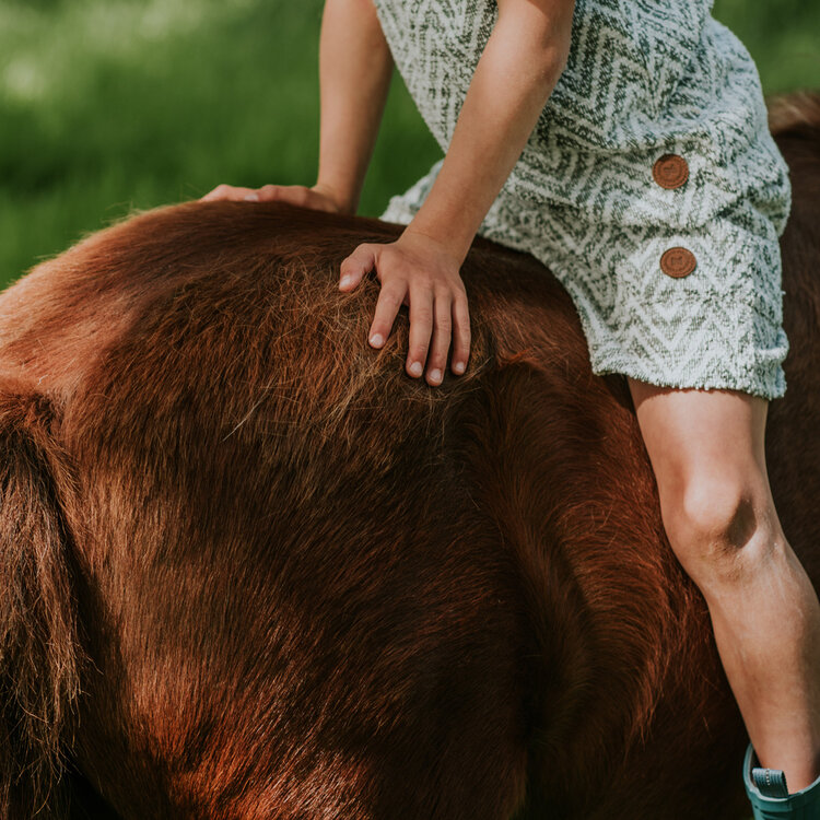 Koko Noko jongens short olijfgroen cargo | N58834-37