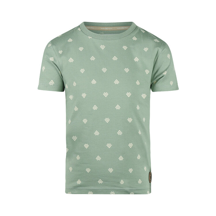 Koko Noko boys' T-shirt sage green | N58841-37