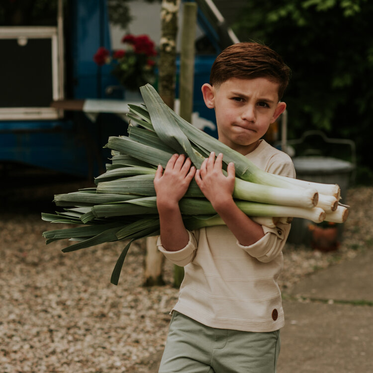 Koko Noko boys' long-sleeved top, off-white stripe | N58843-37