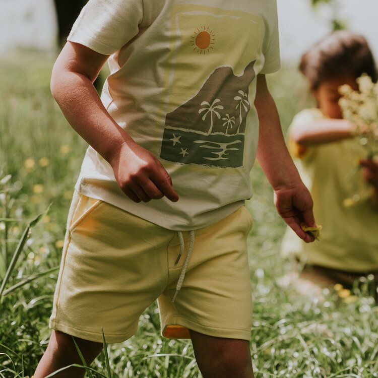 Koko Noko boys' 2-pack jogging shorts sage green yellow | N58846-37