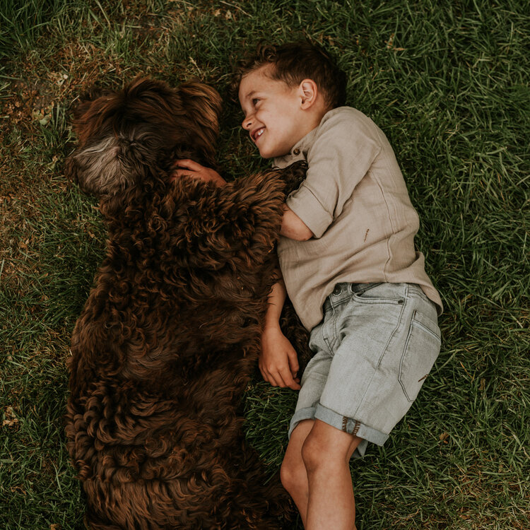 Koko Noko jongens jeans short loose fit grijs | N58861-37