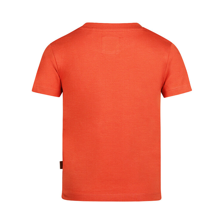 Koko Noko boys' T-shirt, brick red palm | N58864-37
