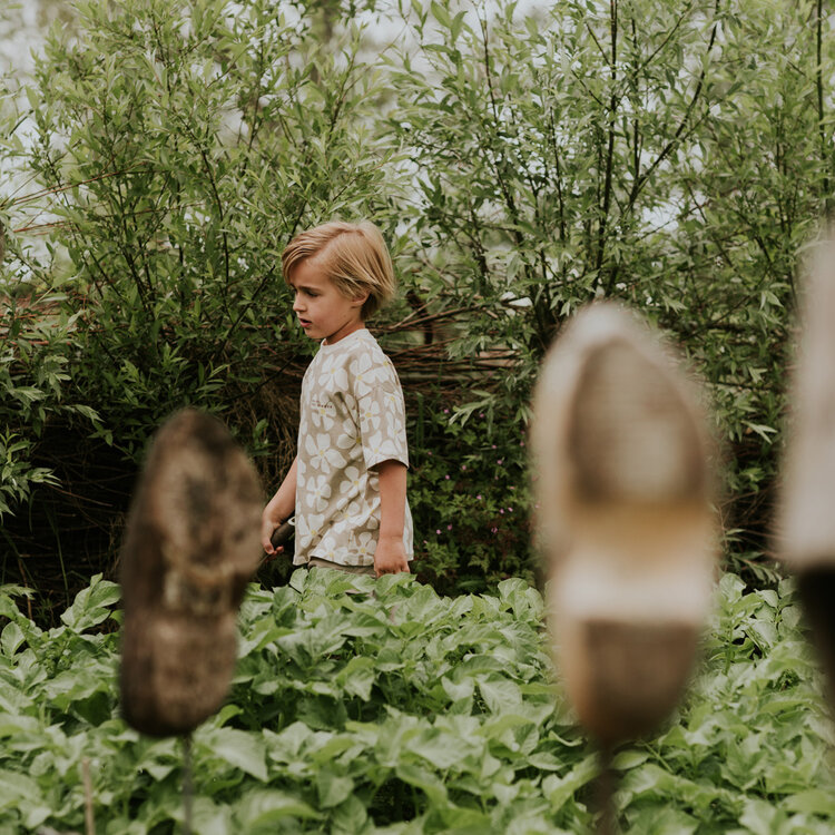 Koko Noko Jungen T-Shirt, locker geschnitten, sandfarben, gelb | N58850-37
