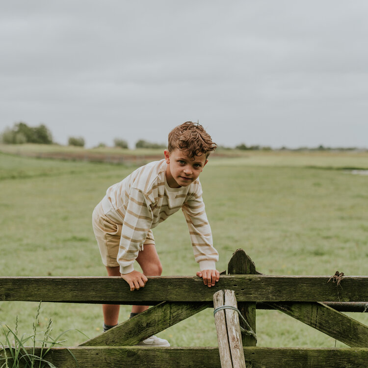 Koko Noko Jungen-Sweatshirt, cremefarben, beige gestreift, Baumwolle | N58889-37
