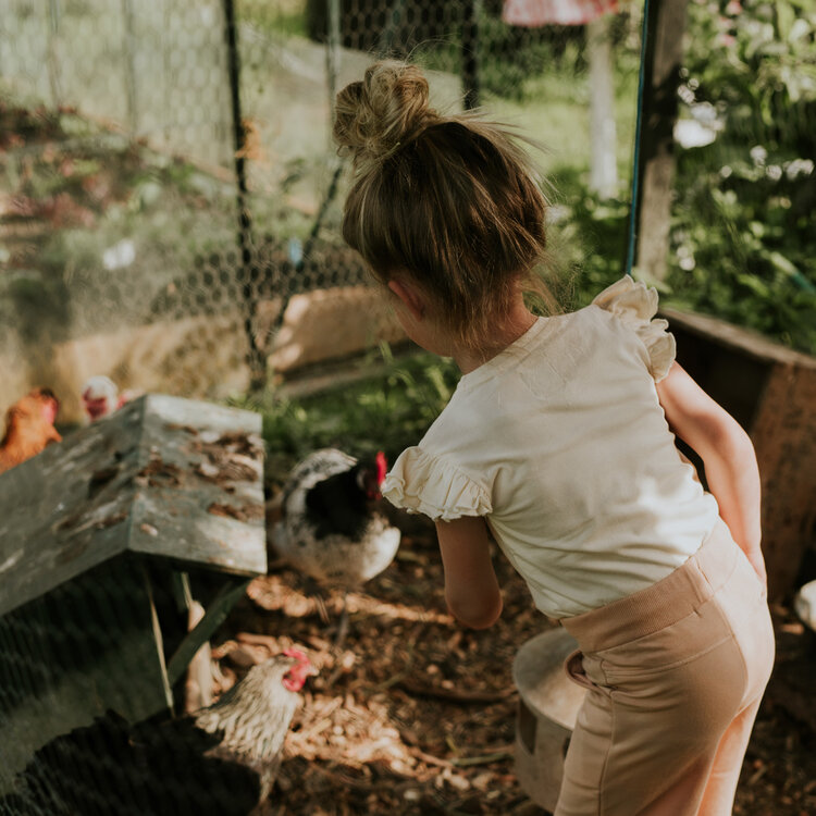 Koko Noko girls' T-shirt, off-white with ruffles | N58912-37