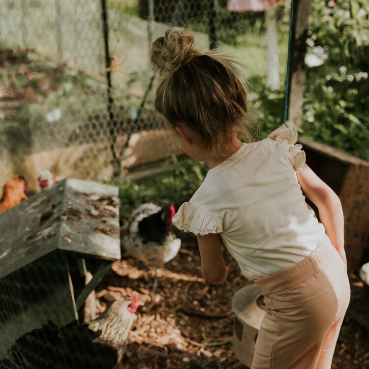 Koko Noko meisjes T-shirt off white ruffles | N58912-37